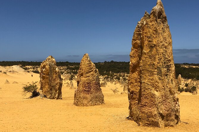 Perth to the Pinnacles: Private Full-Day Coastal Explorer Tour (Mar ) - End Point and Cancellation Policy