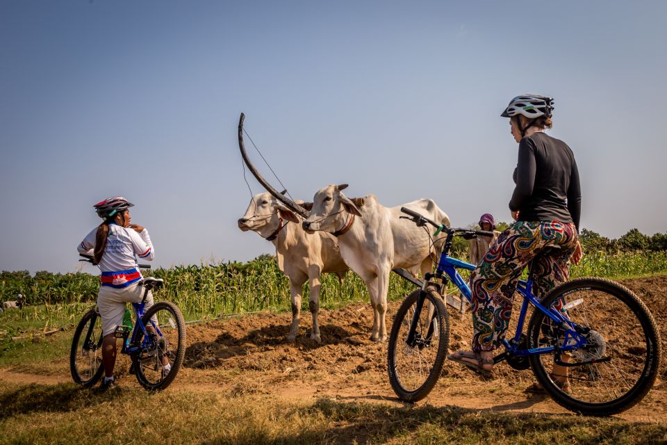 Phnom Penh: Mekong Islands & Silk Islands Guided Bike Tour - Tour Specifics