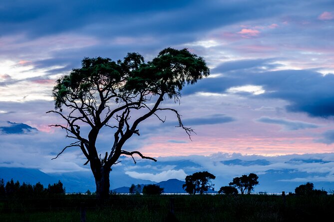 Photography Tour From Queenstown to Glenorchy - 1/2 Day - Cancellation Policy