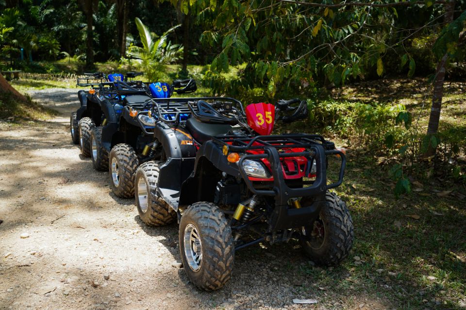 Phuket: ATV Tour With Sea Views and Big Buddha Temple - Review Summary