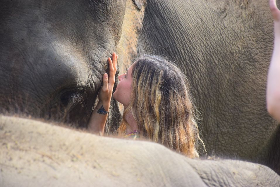 Phuket: Elephant Save & Care Program Tour - Reservation Options
