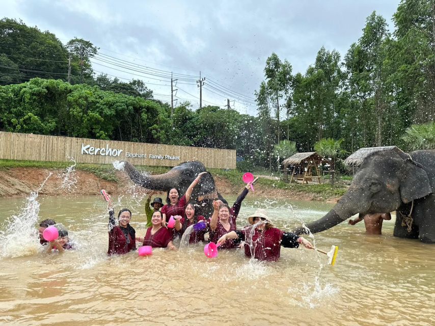 Phuket: Half-Day Elephant Experience With Lunch and Pickup - Customer Reviews and Recommendations