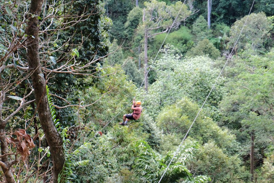 Phuket: Paradise Jungle Zipline Adventure - Pickup and Itinerary