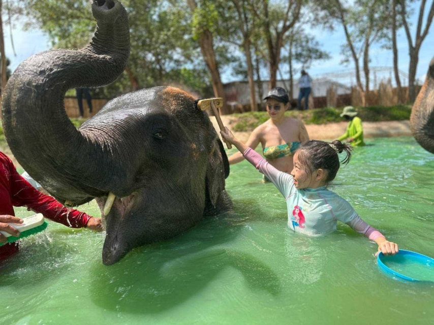Phuket: Phuket Elephant Care Sanctuary ECO Tour - Phuket Elephant Care Experience