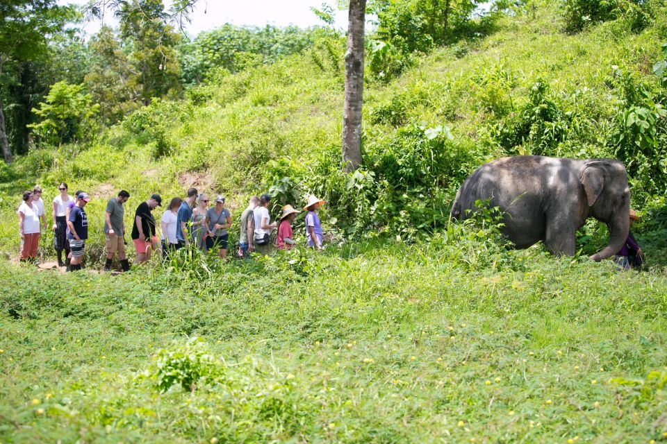 Phuket: Phuket Elephant Sanctuary, Wat Chalong & More - Sustainable Tourism Practices