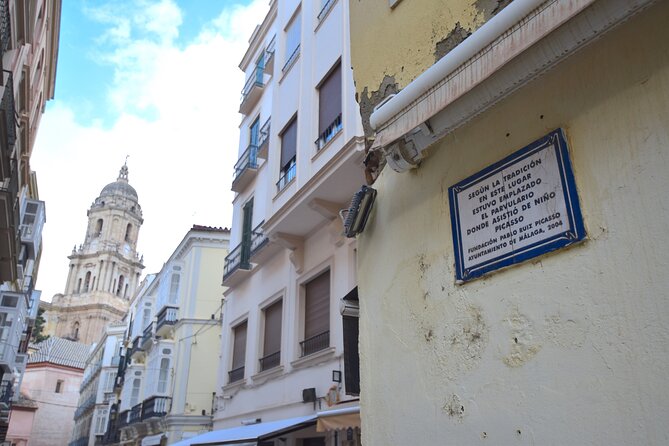 Picasso Roots Private Walking Tour in Central Malaga - Common questions