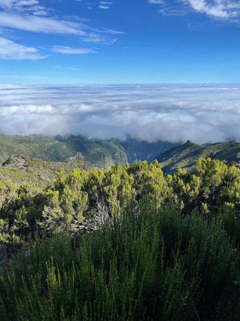 Pico Areeiro -Pico Ruivo Hike With Sunrise Overland Madeira - Customer Reviews