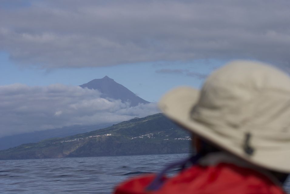 Pico Island: Whale Watching Boat Tour With Biologist Guides - Review and Ratings