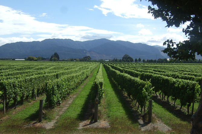 Picton CRUISE SHIP Shore Excursion Marlborough Wine Tour - Company Response