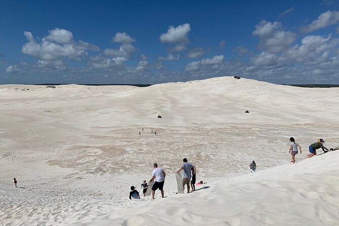 Pinnacles Day Trip From Perth Including Yanchep National Park - Tour Inclusions