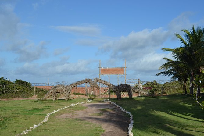 Pipa Beach Tour - Leaving Natal - Contact and Booking Details