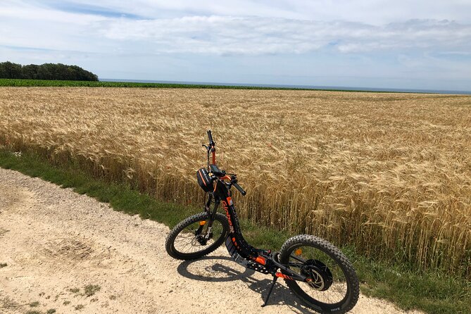 Pleasure" Ride on an All-Terrain Electric Scooter - Exploring Off-Road Trails With Electric Scooters