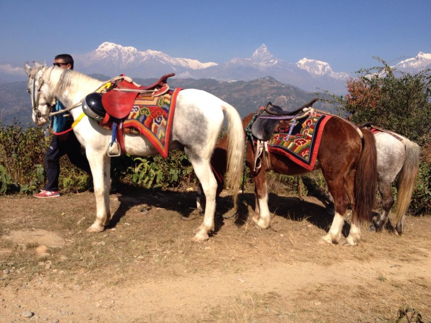 Pokhara: 2.5-Hour Horse-Pony Ride in Nature - Location Details