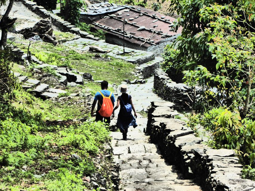 Pokhara: 2-Day Dhampus Australian Camp Hiking via Village - Hiking Itinerary