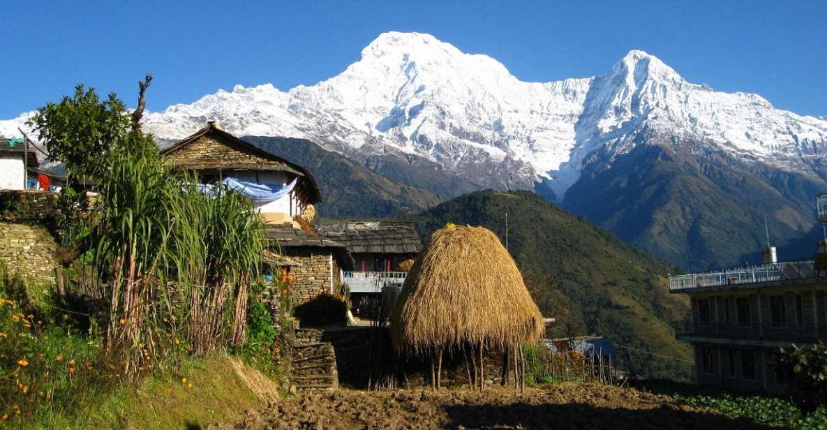 Pokhara: 3-Day Ghandruk Village Guided Trek- Lap On Mountain - Day-wise Itinerary