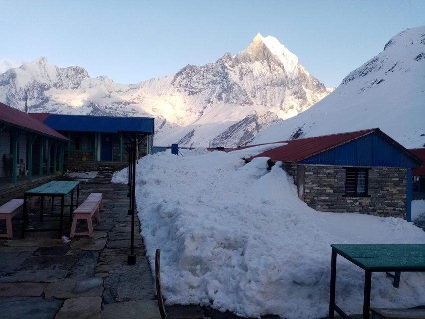 Pokhara: 5 Days Annapurna Base Camp Trek - Important Participant Information