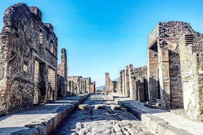 Pompeii Express Tour by Train From Sorrento - Customer Reviews