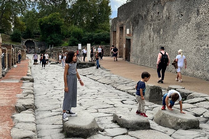 Pompeii Private Tour From Naples Cruise, Port or Hotel Pick up - Addressing Customer Concerns