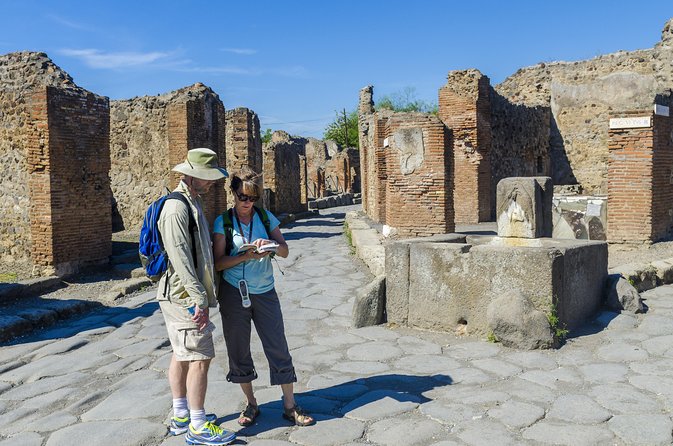 Pompeii Small Group Tour With an Archaeologist - Visitor Feedback