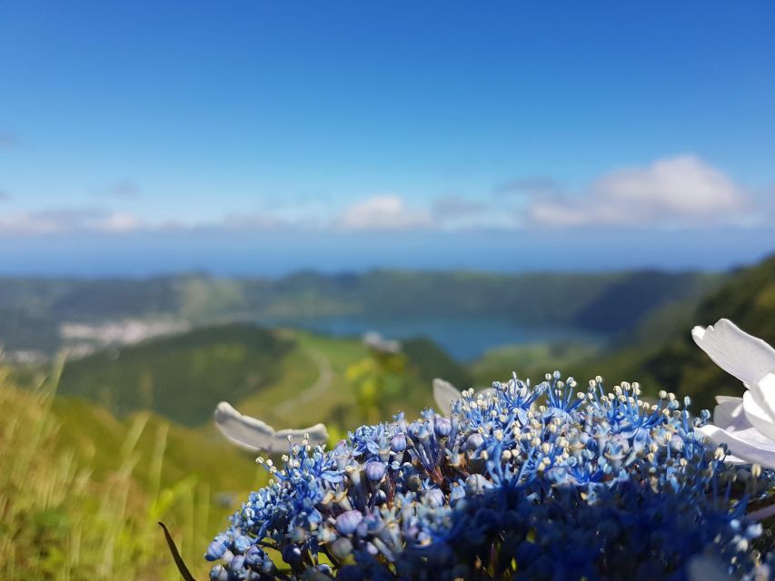 Ponta Delgada: Sete Cidades & Lagoa Do Fogo Tour - Customer Reviews