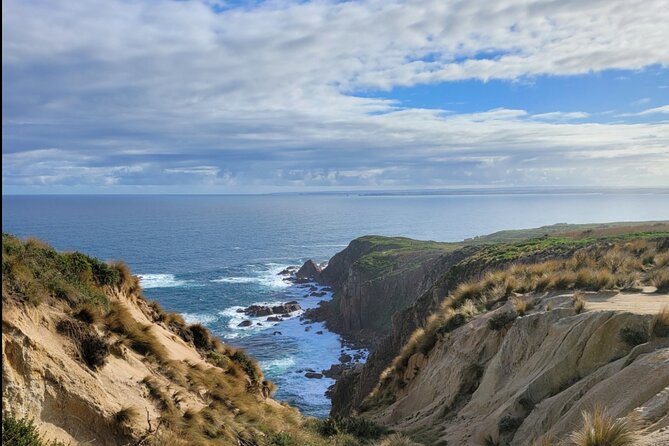 Porsche Luxury Private Tours in Phillip Island Tourist Spots - Group Requirements and Traveler Info