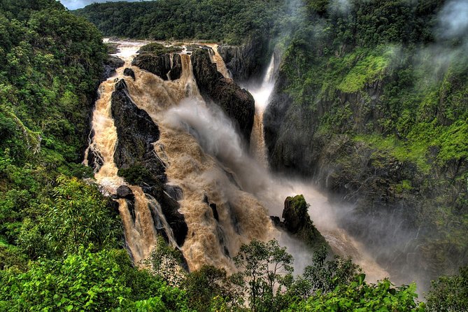 Port Douglas Day Tour: Including Kuranda, Skyrail & Scenic Train - Traveler Reviews Summary