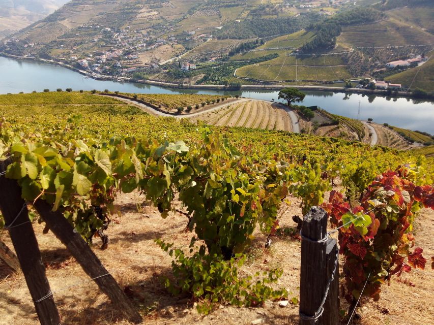 Porto: Authentic Private Douro Valley Tour - Customer Benefits