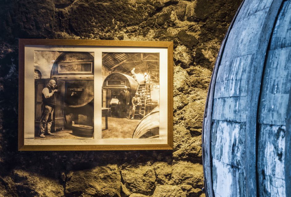 Porto: Burmester Cellar Tour With Tasting & Pairing Options - Visitor Testimonials