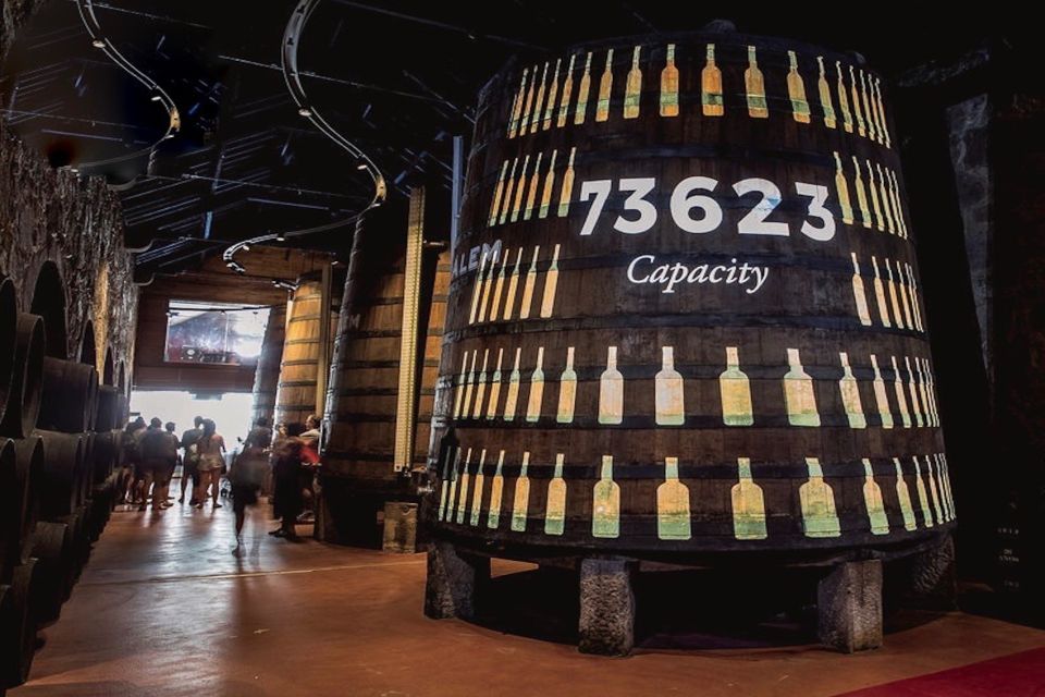 Porto: Cálem Cellar Tour, Interactive Museum & Wine Tasting - Rating and Popularity