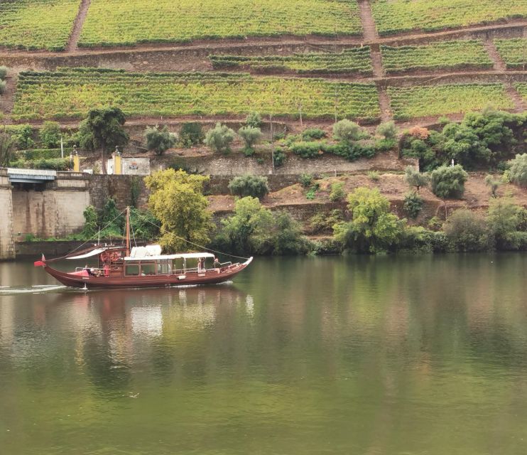 Porto & Douro: Nature, Lunch, Wine Tasting, Boat Tour - Nature Activities Galore