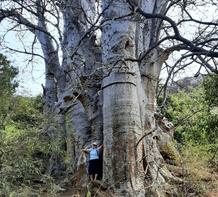 Praia: Guided Nature Hike to Cidade Velha - Reviews and Testimonials From Hikers