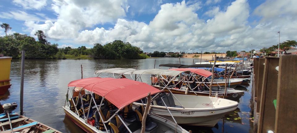 Preguicas River Speedboat Tour - Last Words