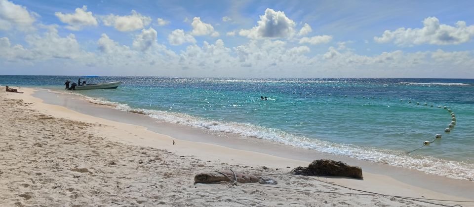 Premium Saona Island From Punta Cana - Other Activities