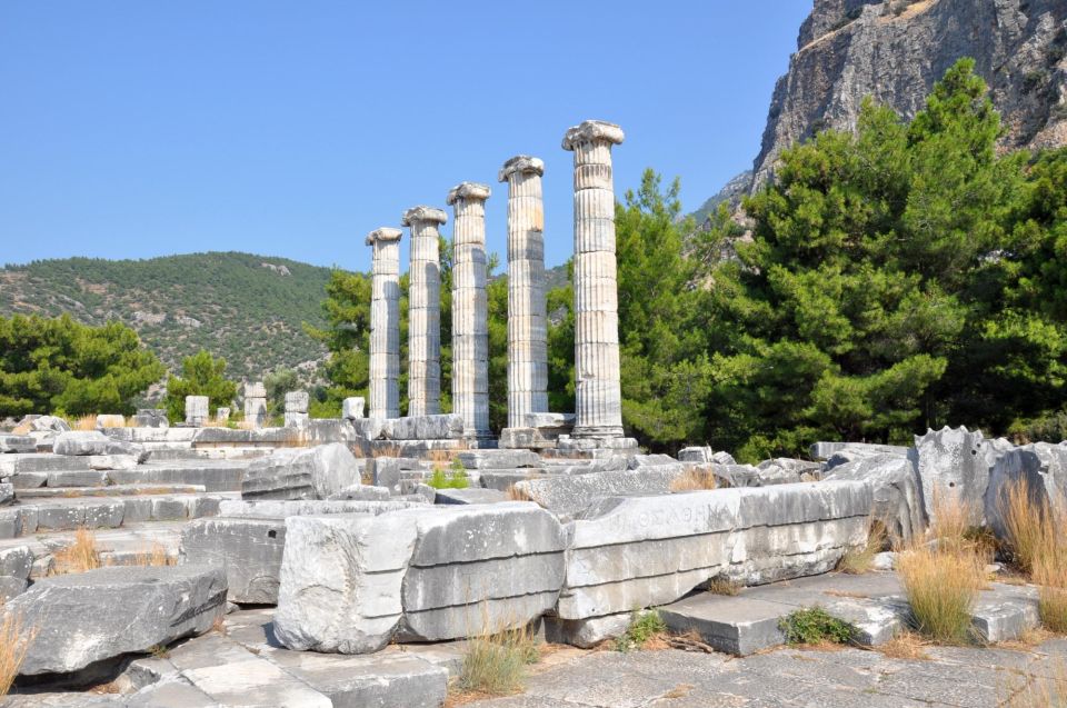 Priene Miletus Didyma Tour - Starting Time & Logistics