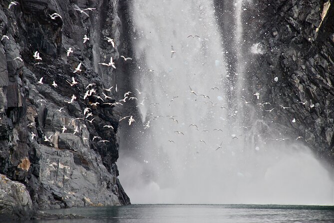 Prince William Sound Glacier Cruise (Mar ) - Last Words