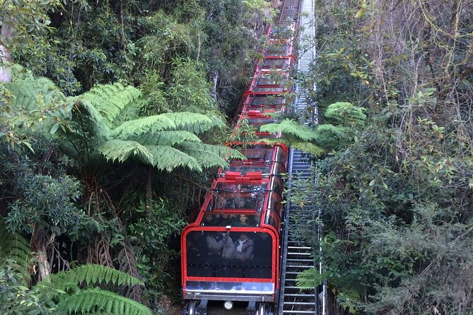 Private 1 Day Full Blue Mountains Tour Koalas Cruise Return - Reviews