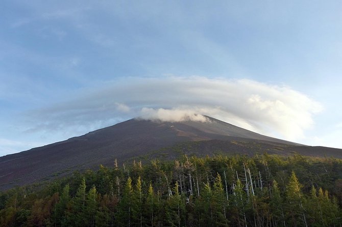 Private 3-Hour Biking Adventure: Descend Mount Fuji  - Fujikawaguchiko-machi - Booking and Confirmation Process