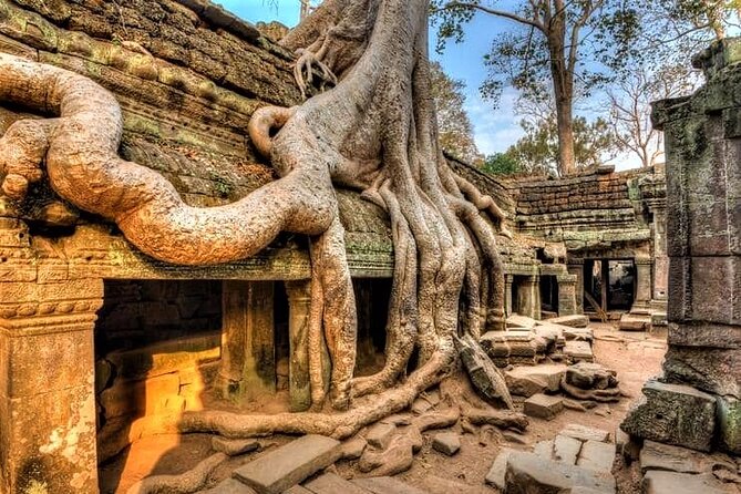 Private 6-Day Tour of Cambodia: Angkor and Phnom Penh  - Siem Reap - Tour Inclusions