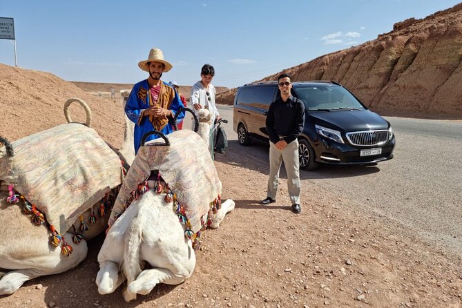 Private Ait Ben Haddou Tour With Road of the Kasbahs From Marrakech - Customer Reviews