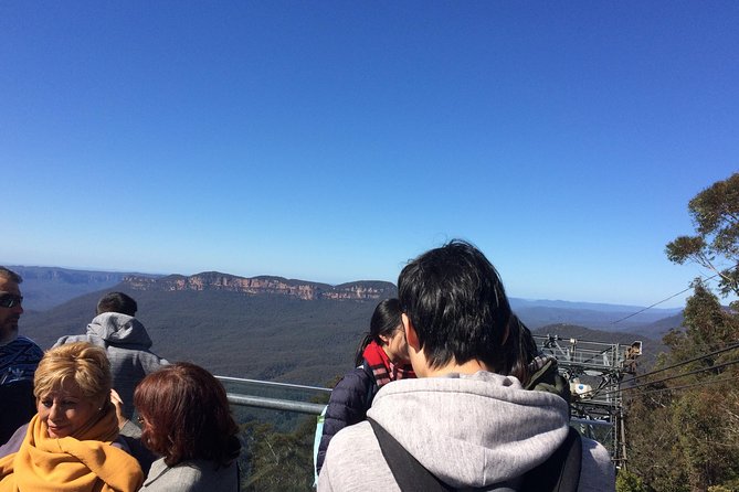 PRIVATE All Blue Mountains Tour, Wildlife Park and River Cruise - Aboriginal Cultural Insights