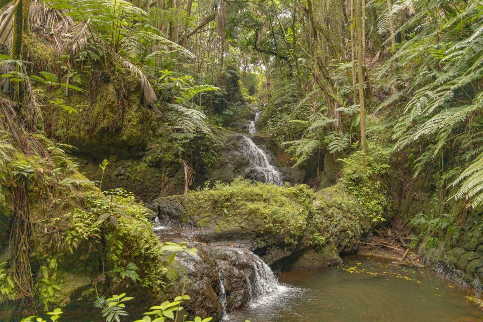 Private - All Inclusive Big Island Waterfalls Tour - Tour Description