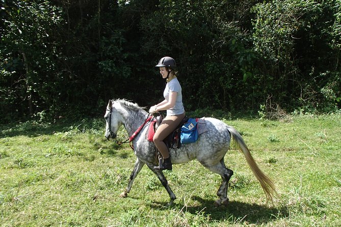 Private and Customized Horseback Riding Adventures - Background