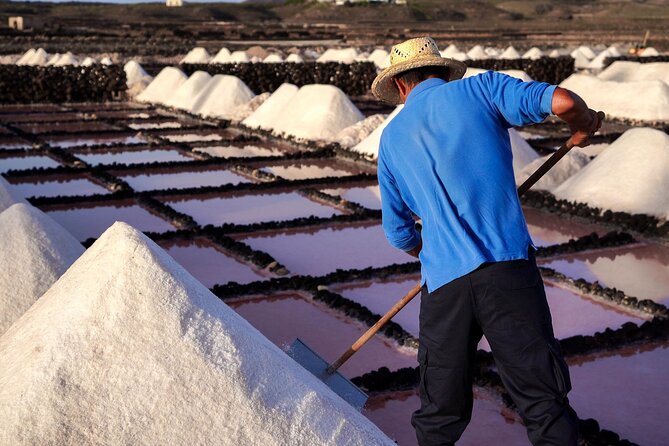 Private and Guided Tour to the Salinas De Janubio With Tasting - Booking Confirmation and Accessibility