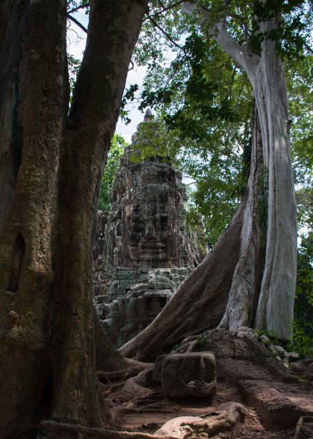 Private Angkor Wat Temple Tour - Customer Reviews