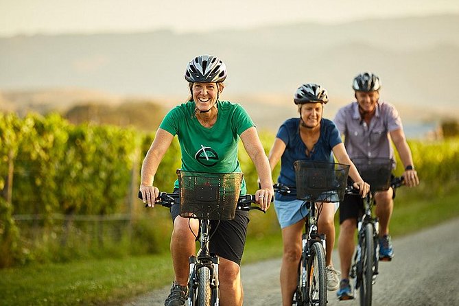 Private Biking Wine Tour (Full Day) in the Marlborough Region - Small-Group Experience