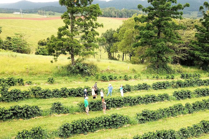 Private Boutique Tasting Tour in the Cairns Tablelands - Pricing and Booking Information