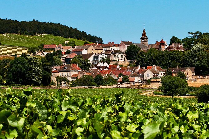 Private Burgundy 3 Domaines Chateau Pommard Chablis 15 Wines Trip - Last Words