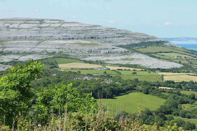 Private Burren and Cliffs of Moher Full Day Tour - Company Information and Background