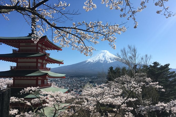 Private Car Mt Fuji and Gotemba Outlet in One Day From Tokyo - Tour Guide Expertise and Experience