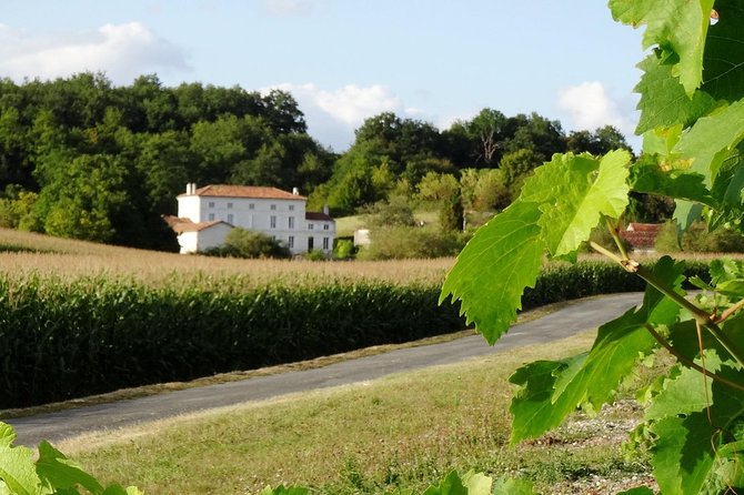 Private Day-Tour From Cognac : Vineyard and Craft Distilleries With Tastings - Guide and Transportation